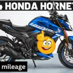 Honda Hornet 2.0